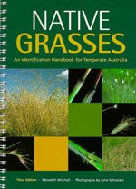 Native grasses